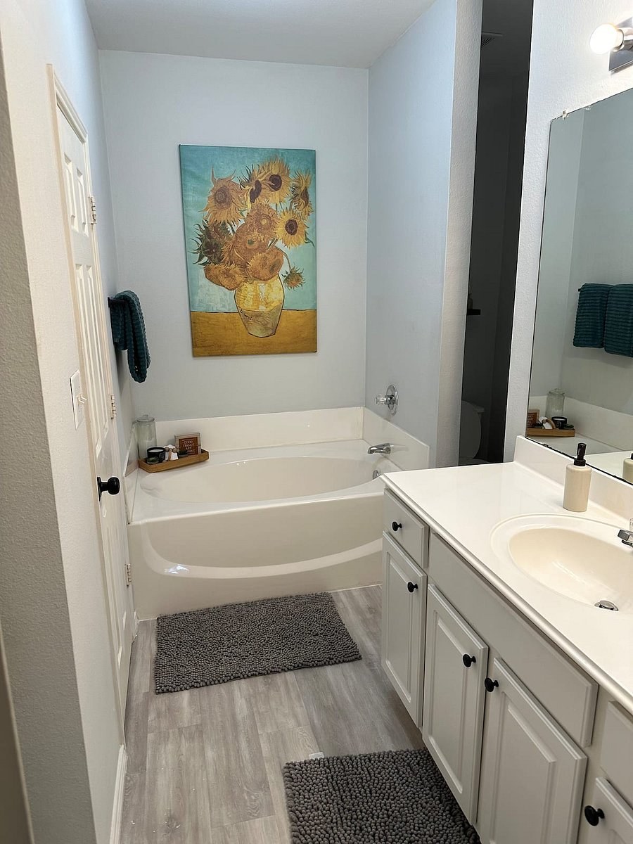 Master bathroom with a lounge tub and vanity